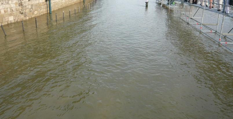 Администрация Курганской области просит жителей сел эвакуироваться из-за предстоящего паводка