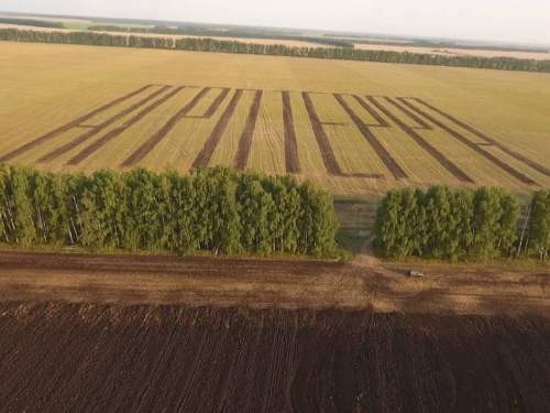 СМИ: активы «Агротерры» переданы во временное управление Росимущества СМИ: активы «Агротерры» переданы во временное управление Росимущества