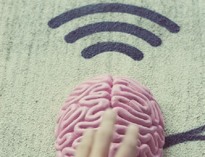 Эксперт Батранков предупредил о краже Telegram-профилей через Wi-Fi в аэропортах