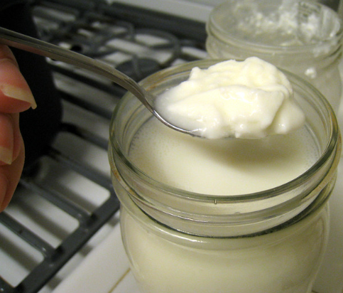 Биолог Лялина рассказала, как выбрать полезный йогурт