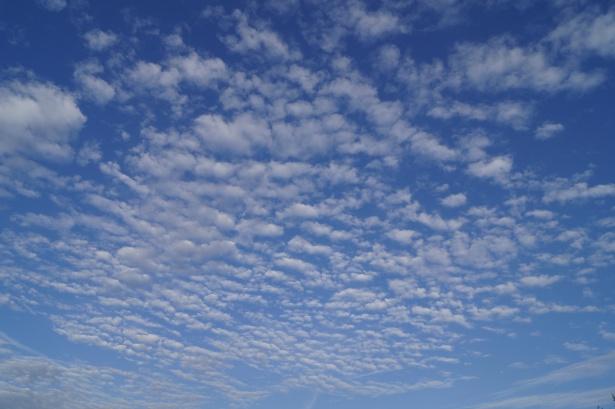 Neurology: Более 500 тысяч смертей из-за инсульта в мире связаны с погодой