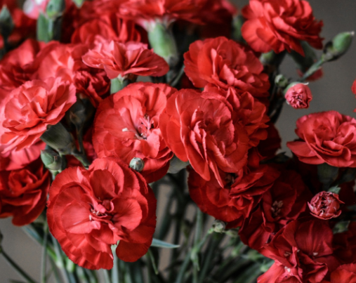 Отец Геннадий посоветовал не приносить на кладбище угощения Отец Геннадий посоветовал не приносить на кладбище угощения