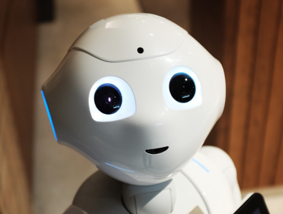 Российские инженеры создали боевой робот в виде бургера Российские инженеры создали боевой робот в виде бургера