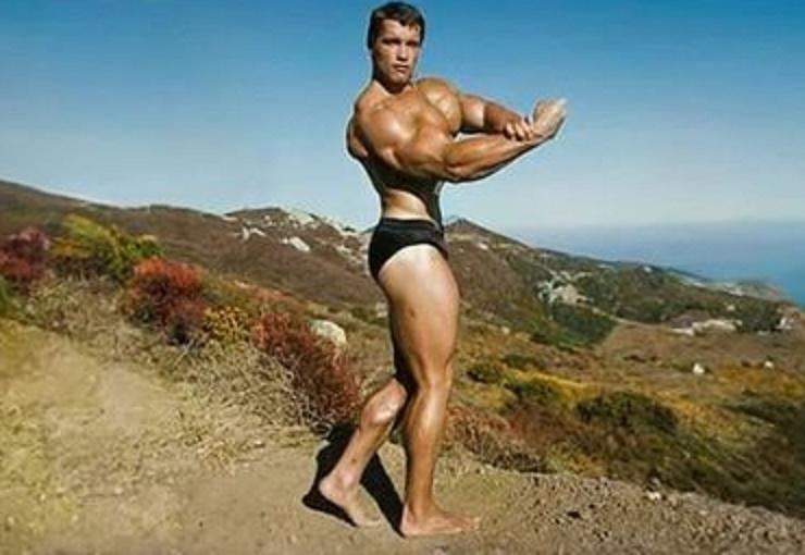 Шварценеггер признался, что «украл» роль терминатора у Симпсона Шварценеггер признался, что «украл» роль терминатора у Симпсона