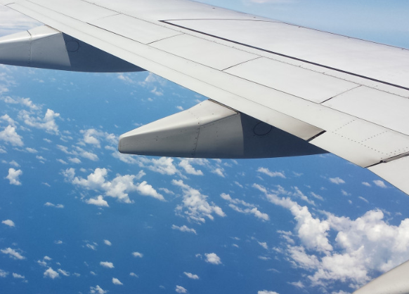 Стюардесса Мансанарес назвала открытую одежду поводом для отказа в перелете Стюардесса Мансанарес назвала открытую одежду поводом для отказа в перелете