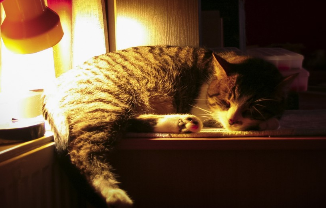 Ученые РНЦХ имени Б.В. Петровского рассказали о последствиях дефицита мелатонина Ученые РНЦХ имени Б.В. Петровского рассказали о последствиях дефицита мелатонина