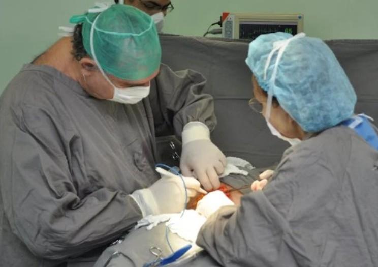 Хирург Алексанян признал, что не сможет удалить все рубцы с лица американки Луны Хирург Алексанян признал, что не сможет удалить все рубцы с лица американки Луны