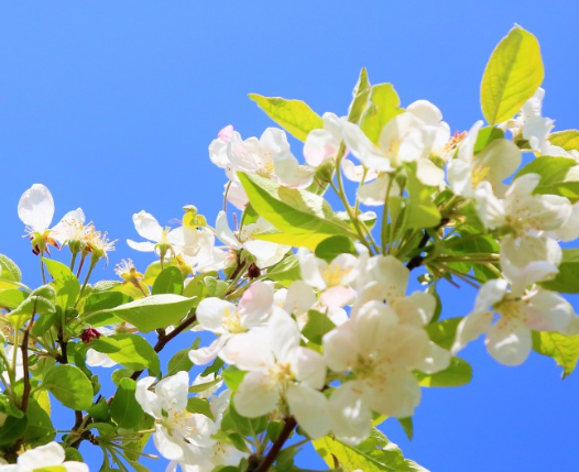 Страстная неделя: Что можно и нельзя делать перед Пасхой