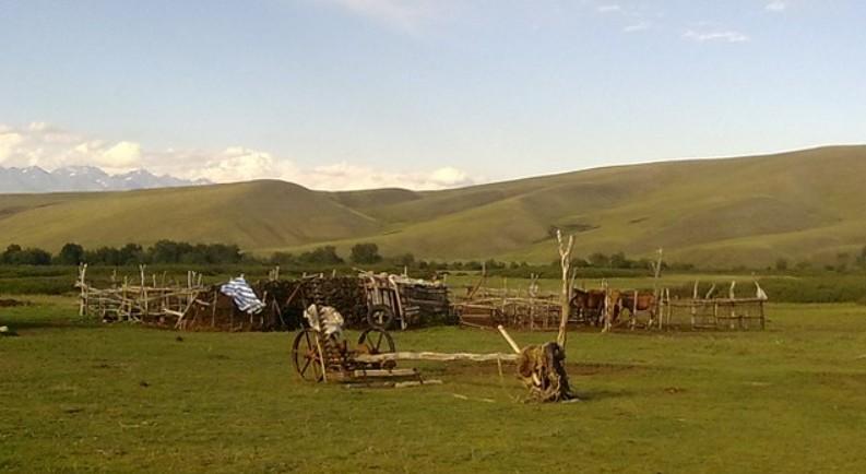 Владимир Путин поручил правительству поддержать аграриев