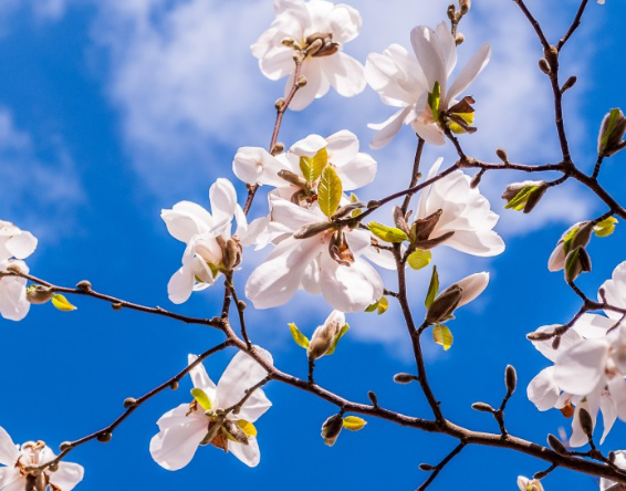 Чистый четверг: Что можно и нельзя делать 2 мая