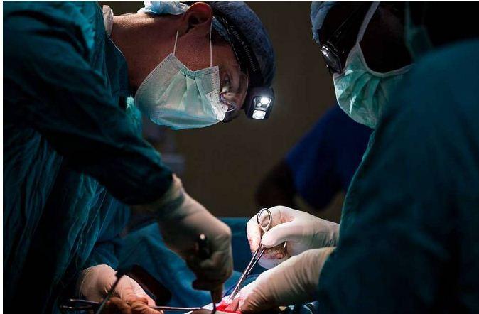 В Италии предупредили о новом смертоносном вирусе в Европе В Италии предупредили о новом смертоносном вирусе в Европе