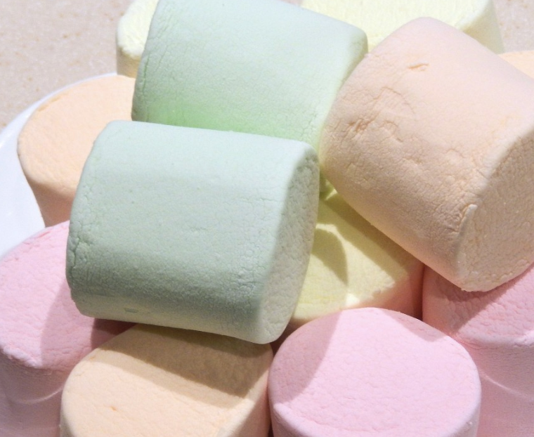 Врач Тяжельников посоветовал готовить маршмеллоу на пикнике на прогоревших углях