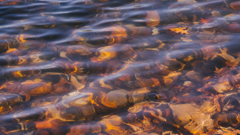 В реке Тиса утонули два украинца при попытке сбежать в Румынию