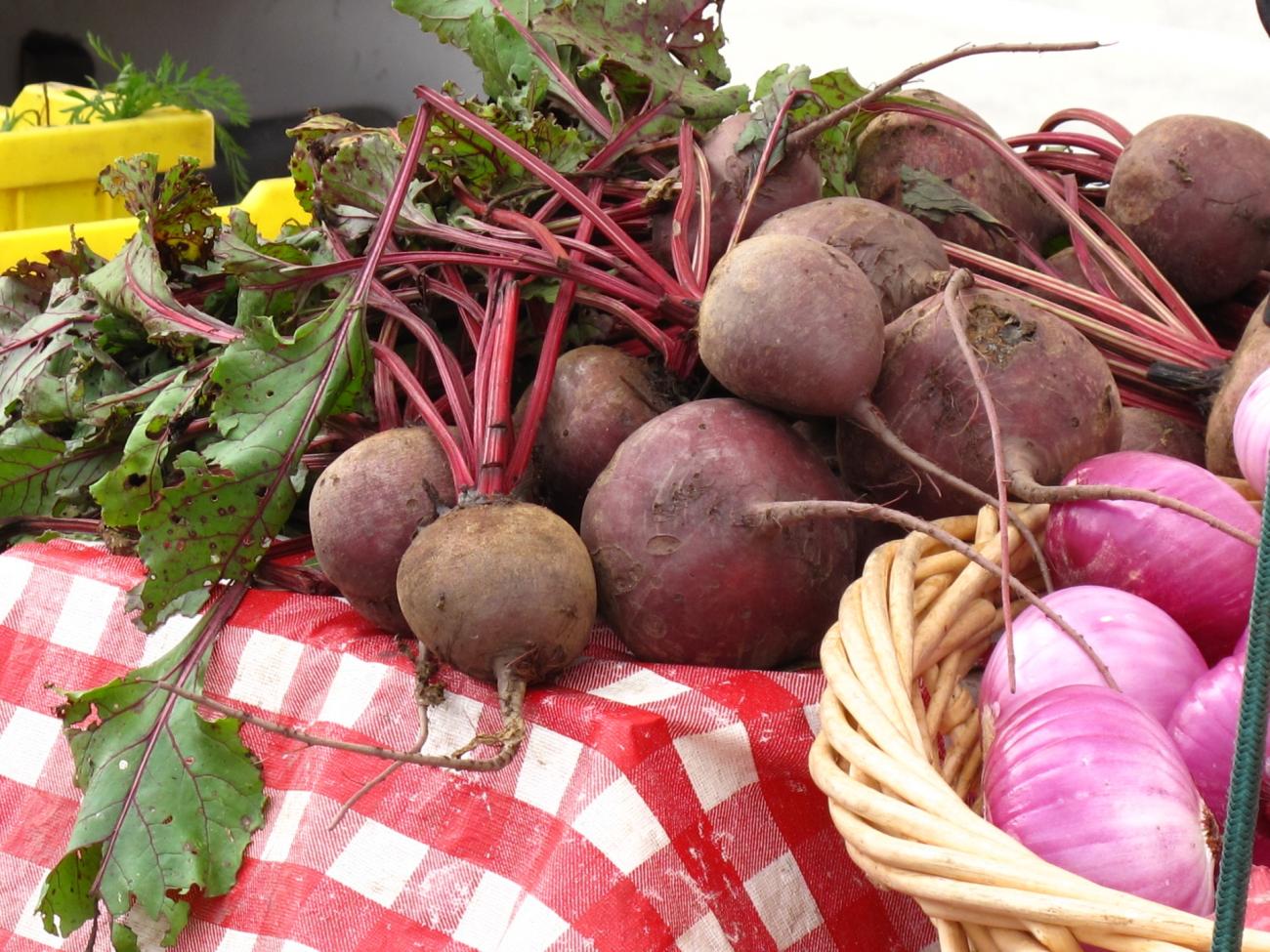 Роспотребнадзор рассказал о пользе свеклы для поддержки здоровья в старости Роспотребнадзор рассказал о пользе свеклы для поддержки здоровья в старости