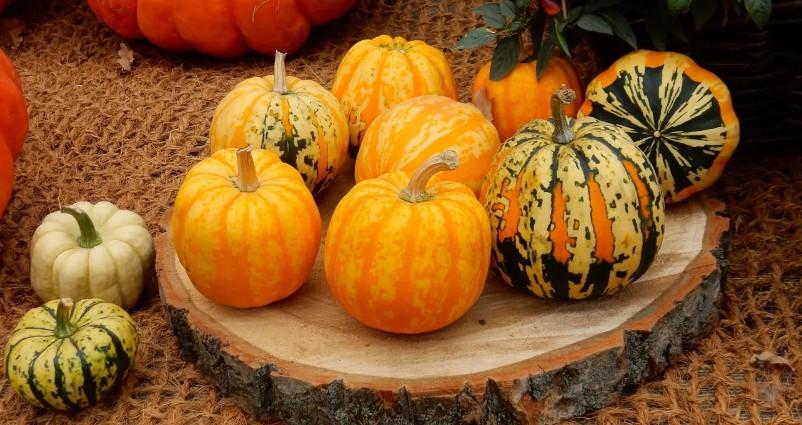 Диетологи Войт и Белева назвали продукты, которые помогают сохранить молодость кожи