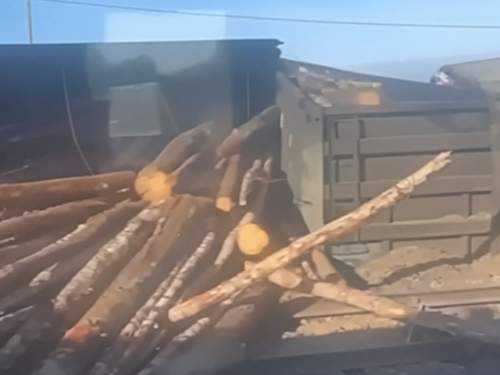 В Волгоградской области поезд сошел с рельсов: опубликовано видео (ВИДЕО)