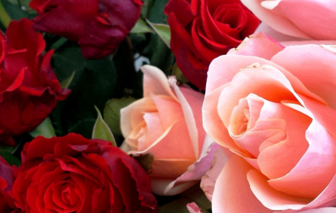 Священник Зверев объяснил, какие цветы следует нести на кладбище в Радоницу