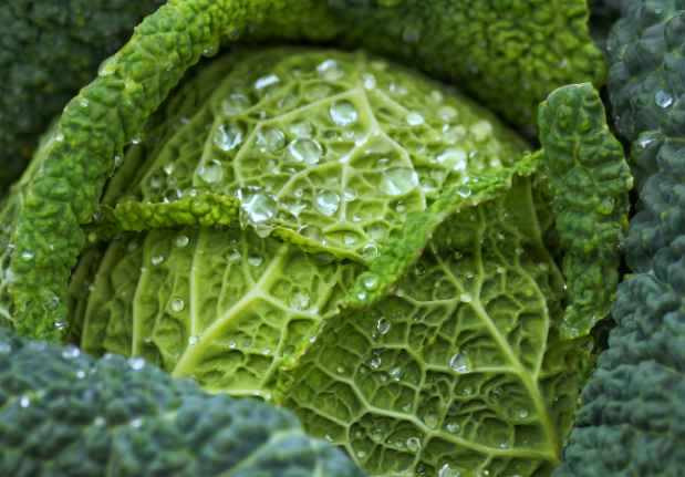 Арина Капустница: Что можно и нельзя делать 18 мая