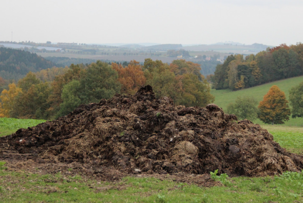 В Британии крупная вспышка инфекции из-за попавшего в водопровод навоза В Британии крупная вспышка инфекции из-за попавшего в водопровод навоза