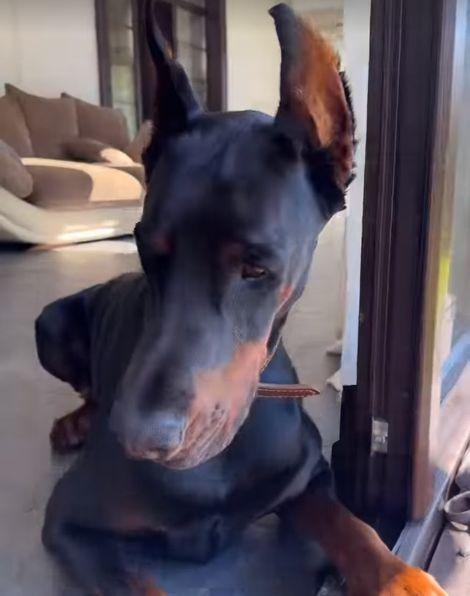 Оскандалившаяся с «голой» вечеринкой блогерша Настя Ивлеева вернулась в соцсети