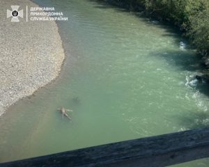 «Я тону в твоих глазах»: на Украине комики высмеяли погибших уклонистов (ФОТО, ВИДЕО)