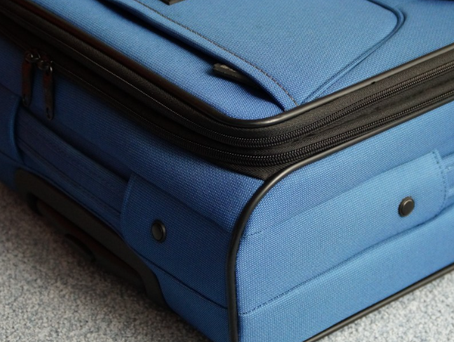 Туристы во время автостопа по Европе стали жаловаться на азиатских шершней