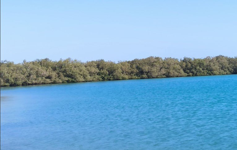 «Островок» назвал самую популярную страну у российских туристов