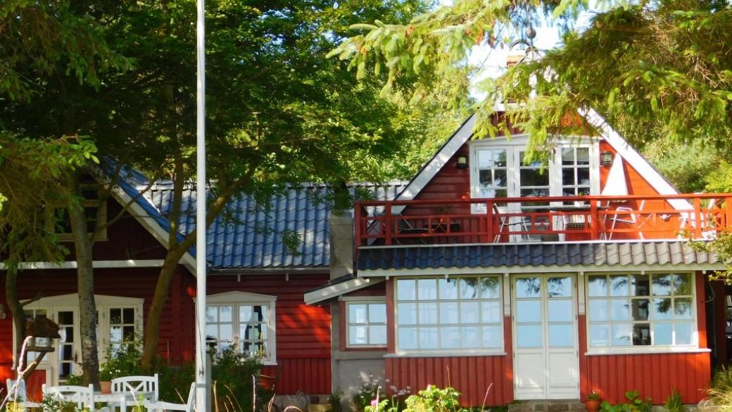 Эксперт Хабургаев назвал садовые растения, за которыми легко ухаживать