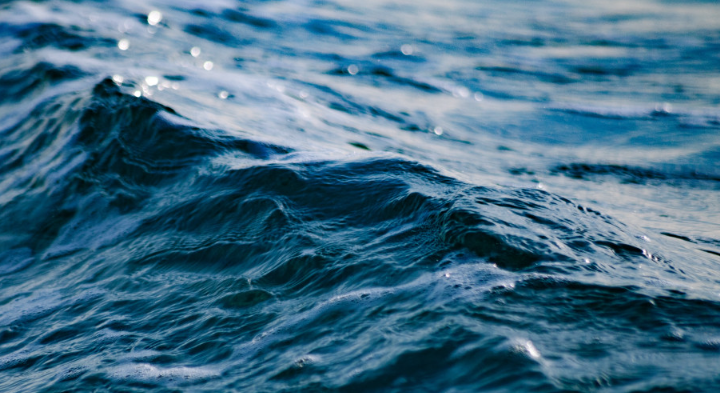 У берегов Филиппин спустя 80 лет нашли обломки легендарного авианосца ВМС США У берегов Филиппин спустя 80 лет нашли обломки легендарного авианосца ВМС США