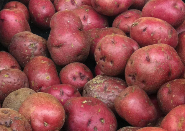 Юрист Асабина предупредила о штрафе за продажу выращенного на даче картофеля