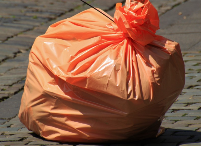 Эксперт Чихринова предупредила о муравьях из-за плохо закрытого мусора на даче