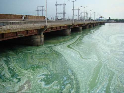 &laquo;Толпами идут подкрепления&raquo;: раскрыт план ВСУ по обороне Днепра