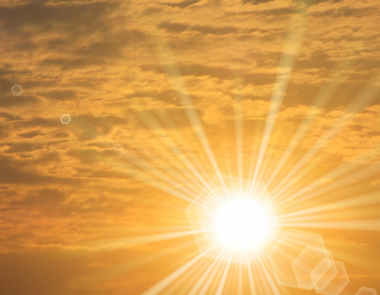 В столице Индии температура достигла рекордных 52 градусов В столице Индии температура достигла рекордных 52 градусов