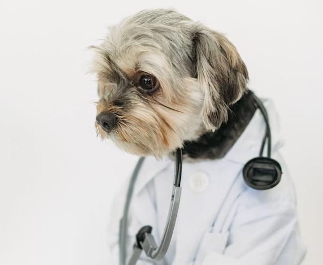 Терапевт Жукова рассказала, как у пациентов обнаруживают несуществующие болезни Терапевт Жукова рассказала, как у пациентов обнаруживают несуществующие болезни