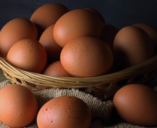 Диетолог Соломатина назвала самый полезный способ приготовления яиц