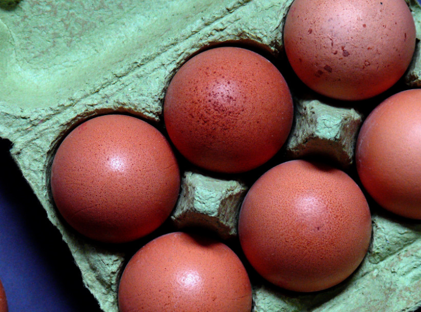 Врач Алексеев рекомендует не покупать яйца с загрязненной скорлупой