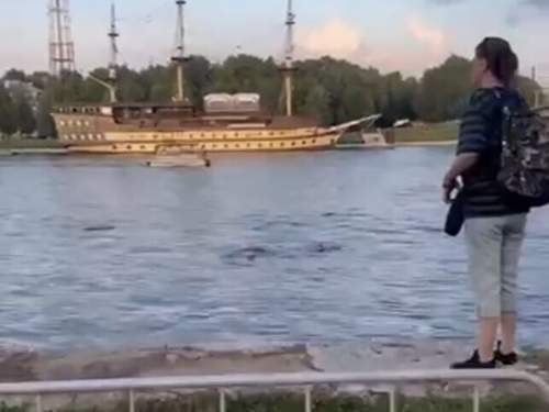 В Великом Новгороде во время купания утонули 4 студента из Индии (ВИДЕО)