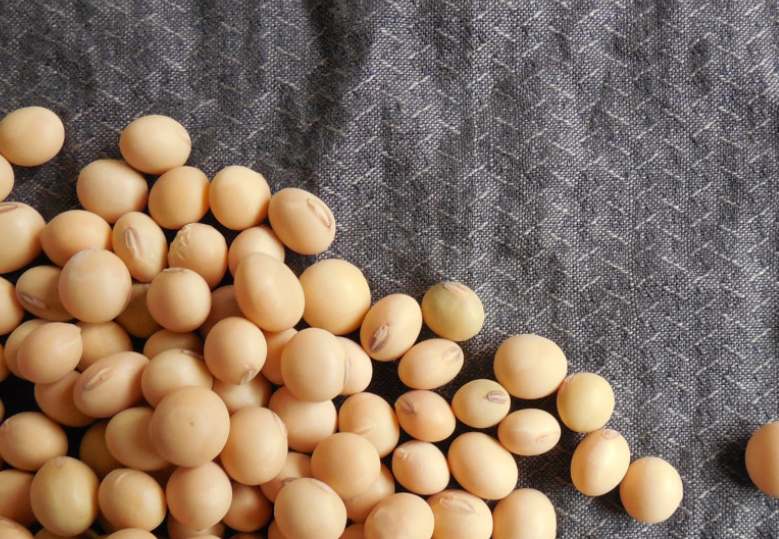 Нутрициолог Богданова рассказала, кому не следует употреблять сою