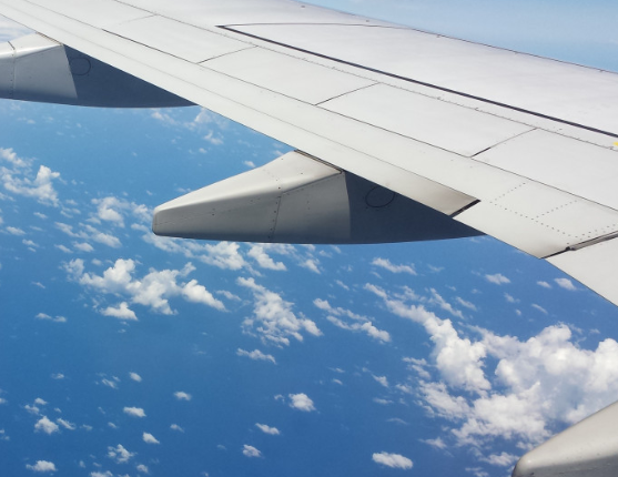 Немецкие ученые предупредили о вреде алкоголя в самолете для сердца Немецкие ученые предупредили о вреде алкоголя в самолете для сердца