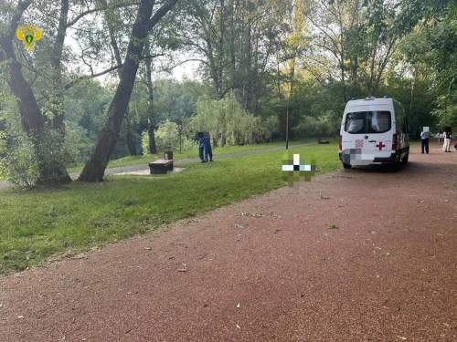 Зарезавший москвича на глазах у внучек в парке &laquo;Кусково&raquo; мужчина сдался полиции