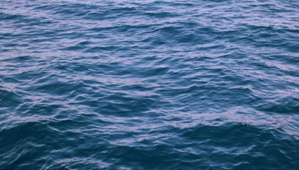 Phys.org: Глубоководный аппарат нашел существо, способное жить 15 000 лет