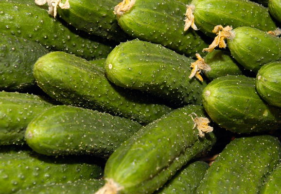 Onlymyhealth назвал овощи, которые необходимы для похудения