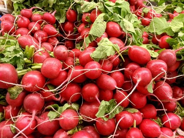 Диетолог Соломатина: Частое употребление редиса уменьшает уровень стресса
