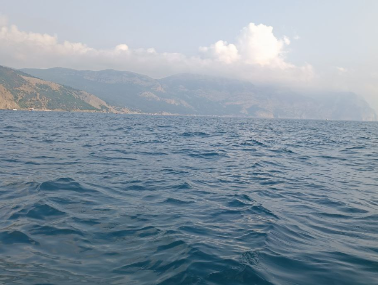 В Крыму национализировали активы украинской певицы Джамалы В Крыму национализировали активы украинской певицы Джамалы