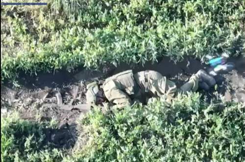 ВСУ казнят раненых солдат ВС РФ, взрывая их дронами-камикадзе (ФОТО)