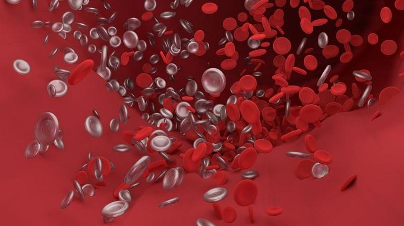 Кардиолог Шишонин опроверг распространенные "страшилки" о холестерине