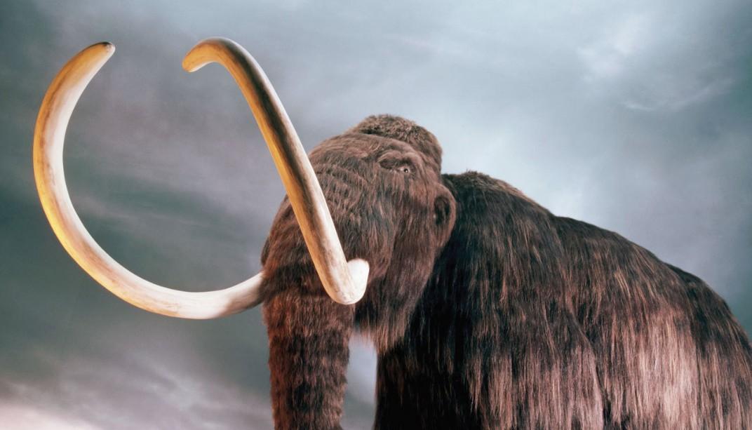 В Якутии выяснили, как в долине реки Берелех появилось "кладбище мамонтов"