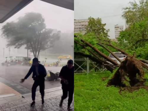 Последствия мегаурагана «Эдгара» в Москве попали на видео: 1 человек погиб, более 10 пострадали (ФОТО, ВИДЕО) Последствия мегаурагана «Эдгара» в Москве попали на видео: 1 человек погиб, более 10 пострадали (ФОТО, ВИДЕО)