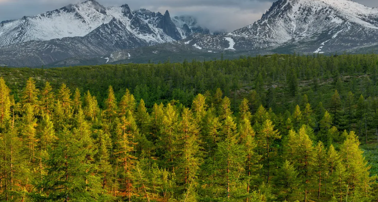 В РФ создадут реестр инструкторов-проводников В РФ создадут реестр инструкторов-проводников