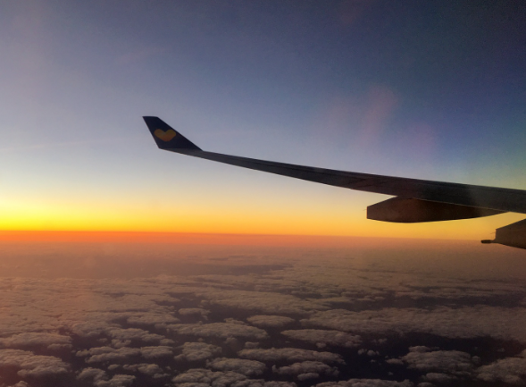 На Западе пассажиры самолетов придумали новый тренд на борту На Западе пассажиры самолетов придумали новый тренд на борту